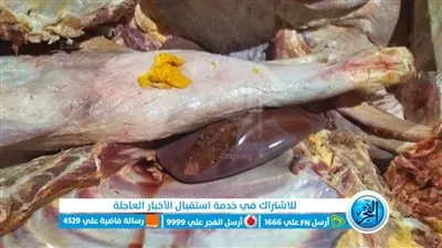 ضبط 320 كيلو لحوم غير صالحة للاستهلاك الآدمي في طامية بالفيوم