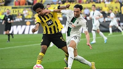عاجل.. بوروسيا دورتموند يحصل على توقيع 