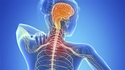 استشاري مخ وأعصاب يوضح سبب وأعراض الإصابة بمرض التصلب المتعدد (فيديو)