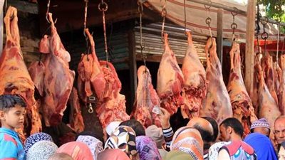 الأسواق تستعد لعيد الأضحي.. تراجع أسعار اللحوم الضاني اليوم الاثنين في الأسواق