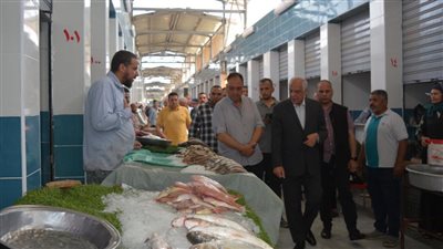 محافظ الجيزة يتابع حركة البيع والشراء بسوق السمك الحضاري بالمنيب (صور)