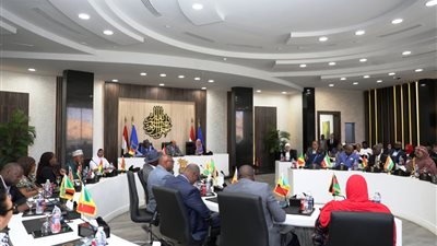 أسوان تستضيف فعاليات الاحتفال ” بيوم إفريقيا ” والذكرى الـ60 لإنشاء الاتحاد الأفريقي