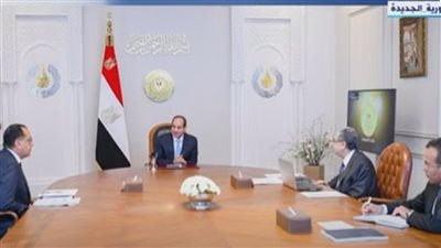 تعرف على تفاصيل اجتماع السيسي مع وزير الكهرباء