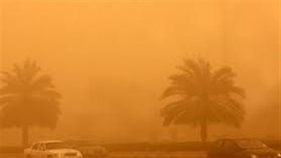 عاصفة ترابية.. إرشادات مهمة للتعامل مع مرضى الجيوب الأنفية