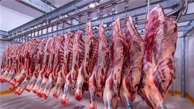 شاهد.. تصريح صادم من شعبة القصابين بشأن أسعار الأضحية قبل العيد 
