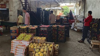 التفاح بـ 23 جنيها.. أسعار الفاكهة والخضروات اليوم الجمعة ثالث أيام عيد الأضحى