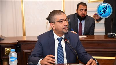 برلماني: الخبرات المصرية حجر أساس لدعم المسارات التنموية في القارة الأفريقية