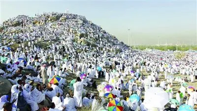 التضامن تكشف كواليس اختيار مشرفي حج الجمعيات الأهلية للإشراف على الحجاج (فيديو)