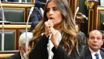 برلمانية: استهداف 30 مليون سائح بحلول 2028 يستلزم دراسة متطلبات الأسواق الخارجية