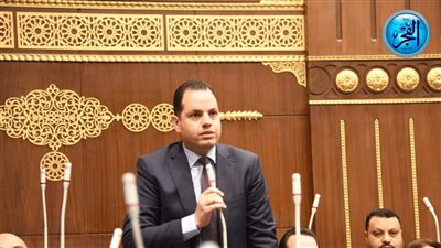 برلماني يطالب بضرورة الربط بين عدد خريجي الجامعات واحتياجات سوق العمل