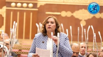 نائبة تطالب بزيادة مخصصات البحث العلمي وربط التعليم بحاجات التنمية 