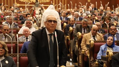 أبو شقة: إرادة الشعب المصري ظهرت في الانتخابات الرئاسية (فيديو)