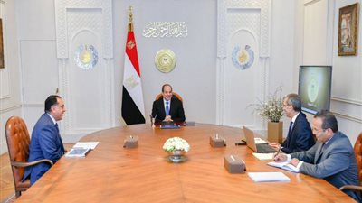 الرئيس السيسي يوجه بدعم المهنيين المستقلين (فيديو)