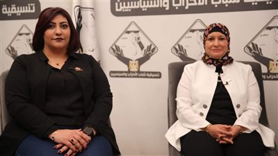 كوثر محمود تطالب بتحديث قانون نقابة التمريض وتقديم التعديلات لمجلس النواب 