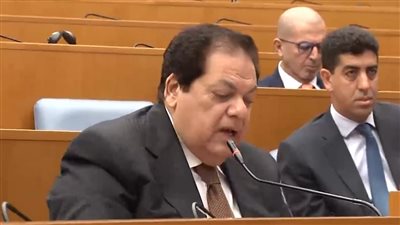 أبو العينين ‏‎يطالب بمبادرة جديدة بعيدا عن التعنت الإسرائيلي لمواجهة الإرهاب 