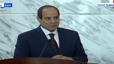 عاجل.. السيسي: مصر مستعدة لإرسال علماء إلى موزمبيق لإعطاء صورة سمحة عن الدين
