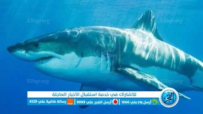 شاهد قـبل الحذف 