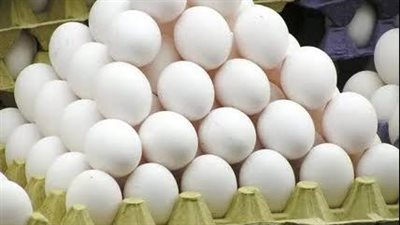 عاجل | الكرتونة بكام ؟.. سعر البيض اليوم الخميس في مصر