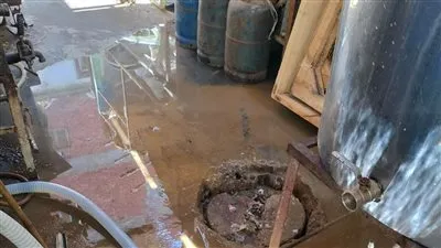 صحة الدقهلية: مراقبة الأغذية توصى بغلق 44 منشأة تعمل دون ترخيص