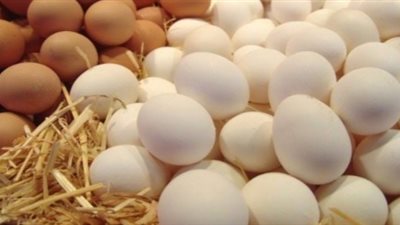 سعر البيض اليوم.. استقرار في الأبيض والأحمر 