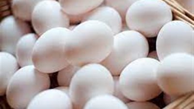 تعرف على أسعار البيض اليوم في مصر