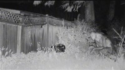 شاهد.. كائن فضائي يثير السخرية عبر مواقع التواصل الاجتماعي