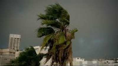 رياح نشطة على بعض المناطق.. الأرصاد تعلن حالة طقس الخميس