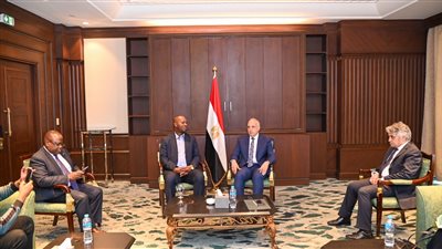 سويلم يلتقي وزير تنمية المياه والصرف الصحي بدولة زامبيا لبحث التعاون المشترك