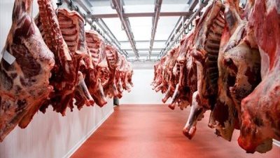 أسعار اللحوم اليوم الأربعاء 5-7-2023 في منافذ وأسواق الدقهلية