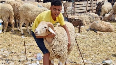 للمضحيين في عيد الأضحى 2023.. آخر موعد لحلاقة الشعر وقص الأظافر