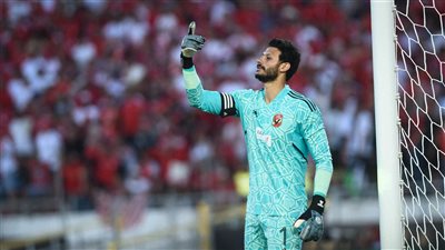 عاجل.. الشناوي يتلقى عرضًا من أهلي جدة ويطلب الرحيل