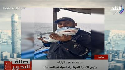 أول رد رسمي على ظهور أسماك القرش في الإسكندرية (فيديو)