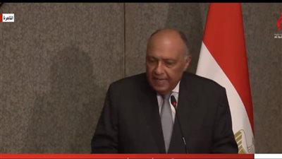 شكري: الاتحاد الأوروبي شريك تجاري مهم لـ مصر.. ونسعى لزيادة الاستثمارات