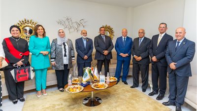 صندوق تحيا مصر يوفر 66 طن مواد غذائية و6 أطنان لحوم بالأسمرات 