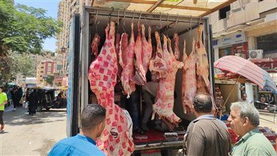 حملات مكثفة للطب البيطري.. ضبط لحوم وهياكل دواجن غير صالحة بالجيزة (صور)