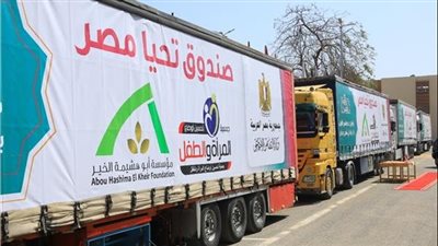 صندوق تحيا مصر: قدمنا أجهزة كهربائية لعرائس يتيمات من 6 محافظات