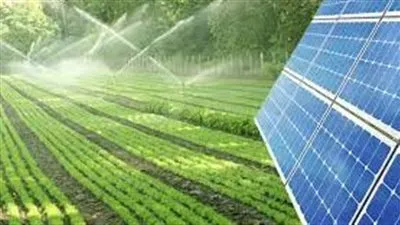 تفاصيل تنفيذ أول تجربة لري الأشجار بالطاقة الشمسية باستخدام تطبيق إلكتروني (فيديو)