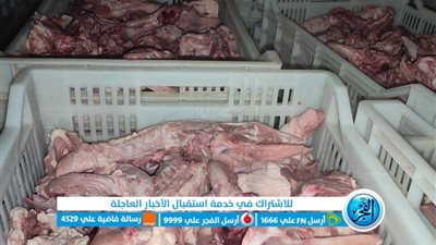  ضبط 4 أطنان لحوم ودواجن فاسدة بالمنوفية