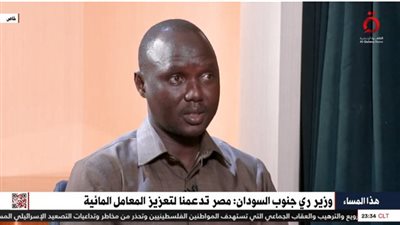 وزير الري بجنوب السودان: مصر تدعم عدة دول في تنمية الموارد المائية