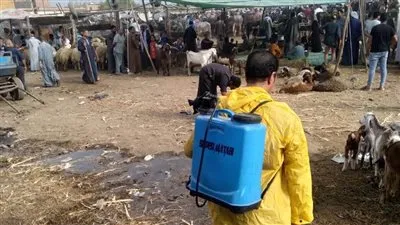 قبل عيد الأضحى.. 