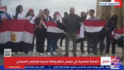 شاهد.. وقفة للجالية المصرية أمام برج إيفل للترحيب بالرئيس السيسي 