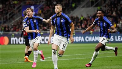 نهاية الرحلة.. دجيكو يرحل عن إنتر ميلان وينضم رسميا إلى هذا النادي