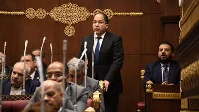 برلماني: الرئيس السيسي حريص على تبني رؤية شاملة لاحتياجات الدول النامية