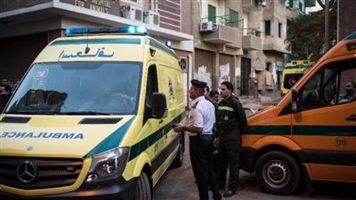 أحدهما عضتها قطة.. إصابة مراقبين في كنترول امتحانات الثانوية العامة بالإسماعيلية