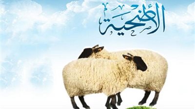 دار الإفتاء توضح عدد من الأمور الهامة بشأن الأضحية 
