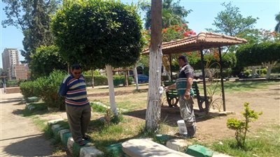 رفع 530 طن قمامة في حملات بشوارع وميادين الدقهلية 