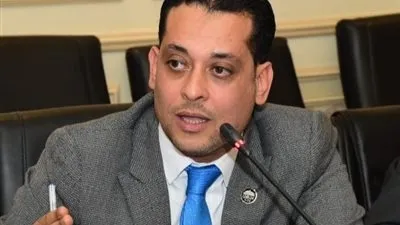 برلماني: إنجازات 10 سنوات شهادة نجاح لثورة 30 يونيو