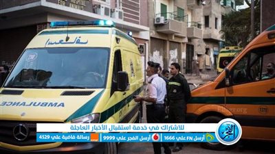 إصابة 8 أشخاص في مشاجرة دامية بالإسماعيلية