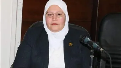 برلمانية تسلط الضوء على الإنجازات التي حققها الاقتصاد المصري بعد ثورة 30 يونيو