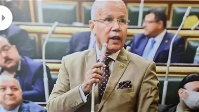 شمس الدين: لولا 30 يونيو و3 يوليو لم نرى الجمهورية الجديدة الآن